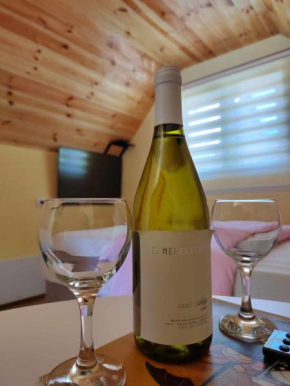 Studio apartmani Anastasija Žabljak